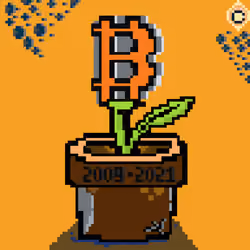 mypots#01 bitcoin