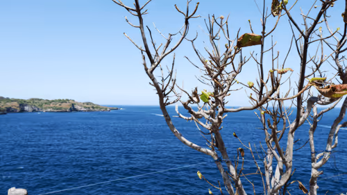 Item #996290929731784083911388906821093556753999753550153778286711583002614300673 Media