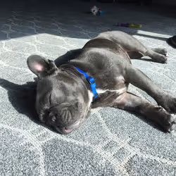 99031261785432219130552668818269695456905868997165113515571762442396533522433