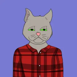 cat #3