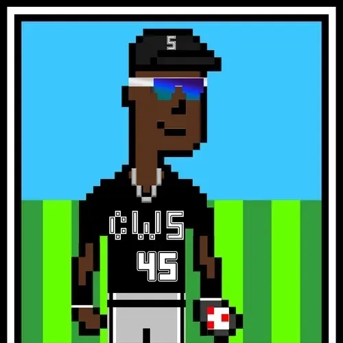 BallParkPunk - CWS #45 - Michael J.