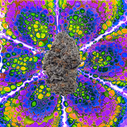 13955282856406335165414100891374623718709547313428947888299033967051927453706