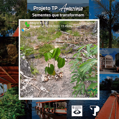 Item #8500196597889277390194123329501889087166328879864934763448348954558197661697 Media