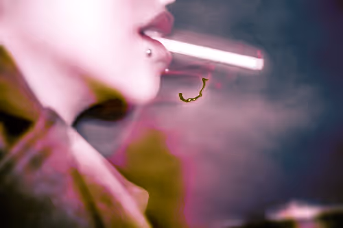 Item #74124234001314812983711764117693402131763852955807667992430597452660899577858 Media