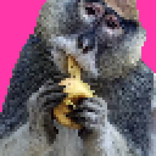 49051871974728512723743709727512141918678316039656509398512956703886771486721