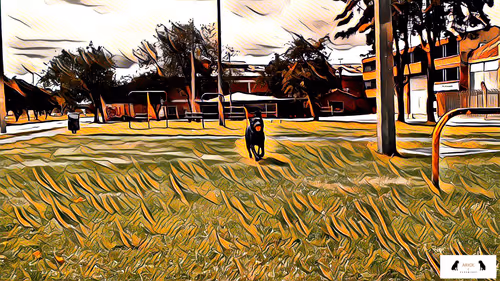 Item #10567450016853403337930259676618451783682953632793231315200837936082199773186 Media