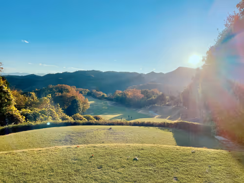 Untitled Collection #99944067