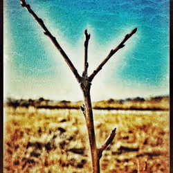 3787080761074609709675817509753112159059746763483256848434353497323268472833