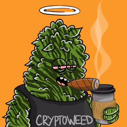 10781972816029327364120052059159000007855813889773667238981933104276615200769