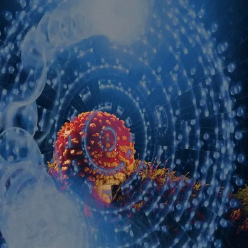 Item #229903202399770629281150266274287852530355796343641318577665423686380814351 Media