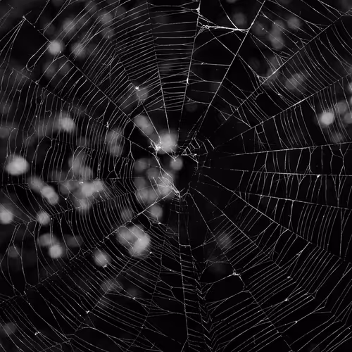 109162157552346088047496633038404394118504199992061596446112929343446408232961