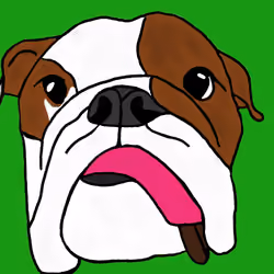 Maui The Bulldog