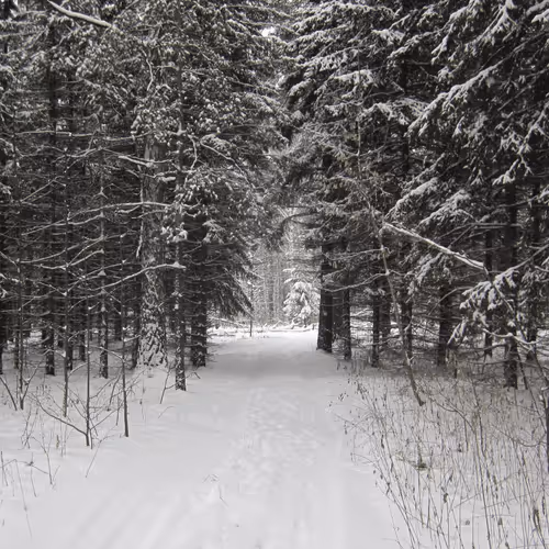 Item #39781805688626842994046507888546694714899270474383352618679520630303300255745 Media