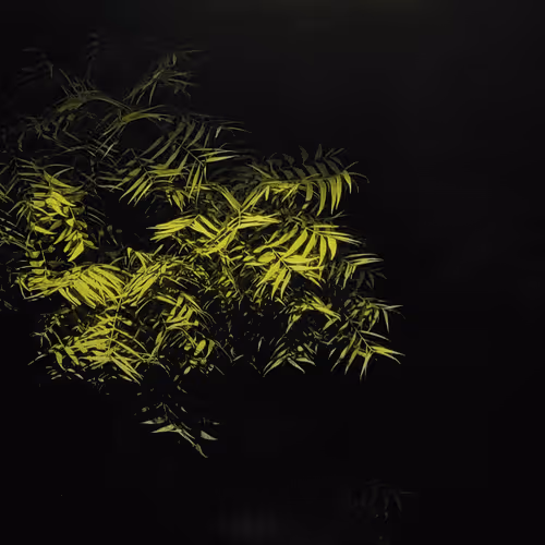 Item #3031594954968518036601260251235850129716331639458953586926962115287913070593 Media