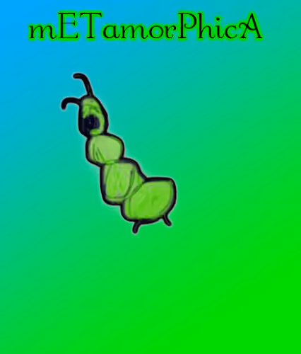 mETamorPhicA