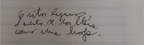 Item #63465233050265892081607428554456565168245465593725857968932052389167282257921 Media