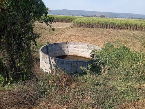 Untitled Collection #198338490