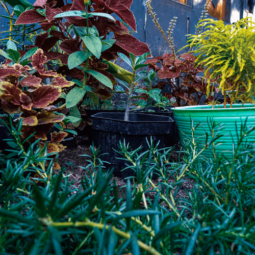 Untitled Collection #504104962