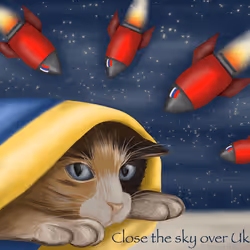 11504544857235207533873340498587459138317309624276358158142600900020203945985