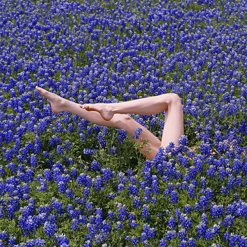 Item #91236794620621986641627806397936663631219965182240997565564980305351030084204 Media