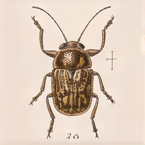 Item #58241160855422744817468407088196322100109565521561100950236904432082855395329 Media