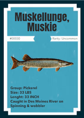 Item #43502264269384842523243150070095810631836830099831581701628991960357525258241 Media