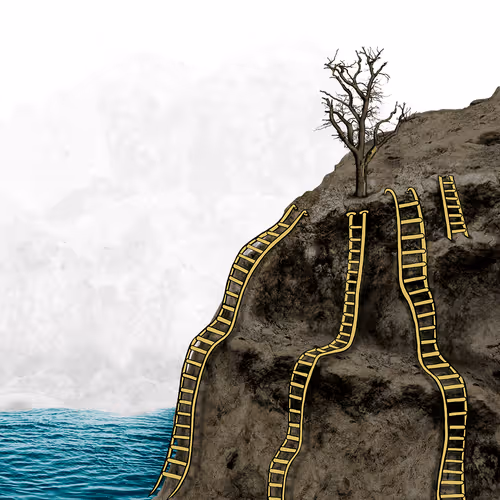 Item #52422642778042427077926376120392097957156652293177322802461846821607609204737 Media