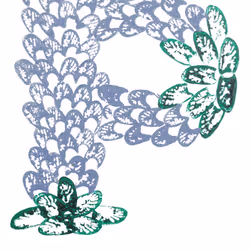 114976545493241493257487804566862386491239486968085247361465236570890236329985