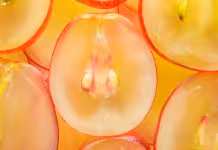 Item #100130413644735537791983996697330642520742807021255249263869117101248811630593 Media