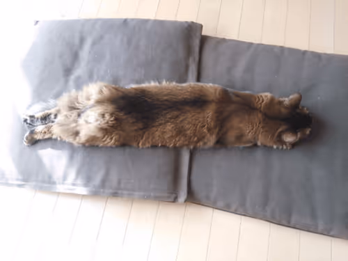 Item #88680272721371285934501562988049178859599418492822572919113237402587496448001 Media