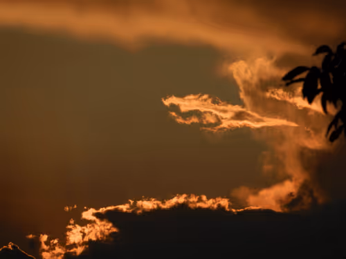 Item #55297223282317197917185791022658401724226762533250968792427961320129280606209 Media