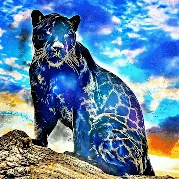 Item #54658049979898971032355539673876588794277822125732617114510633332225580466226 Media