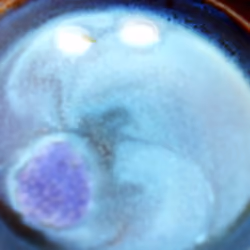 Waiter! There is a half moon in my coffee!