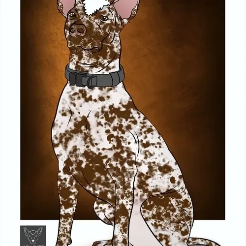 115412186582648874764752321087999128692557907064492986516876109640346753826817