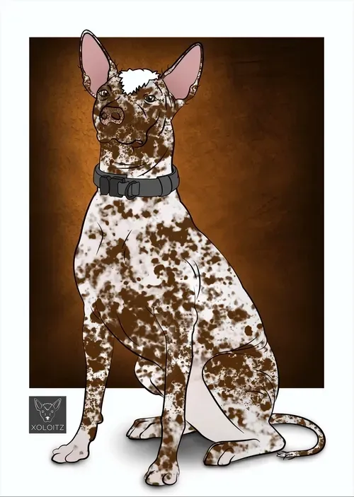 Item #115412186582648874764752321087999128692557907064492986516876109640346753826817 Media