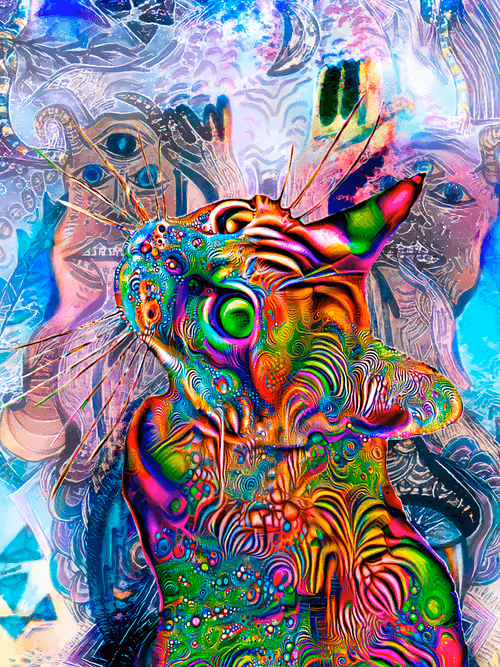 Item #23970642222808392989865087712963609079521043964881081446179584769790687838213 Media