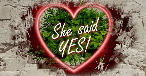 Item #68053287575525751288269231675427811746861684968250582901590729406715671871588 Media