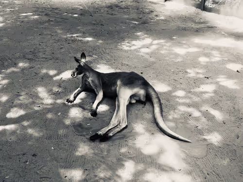 Item #74817359076642782556585350322471739713426593632609016310354114344403119112193 Media