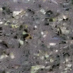 51505744279772251808310948570193708993242265706659681932624859519921204232193