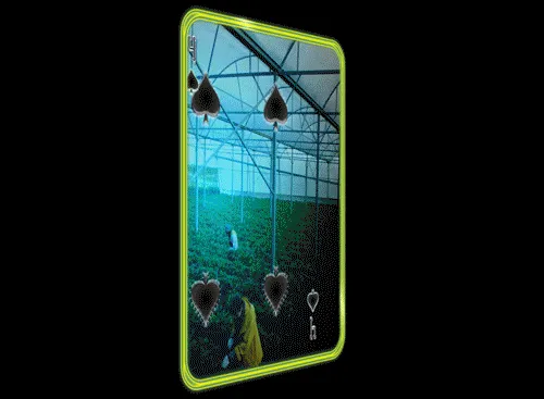 36079854245753815485314985912014674185614795485742504983556302773547505287169