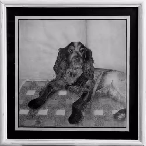 Item #59675097671354243743688385858080028356519730270029258790197889142880391397377 Media