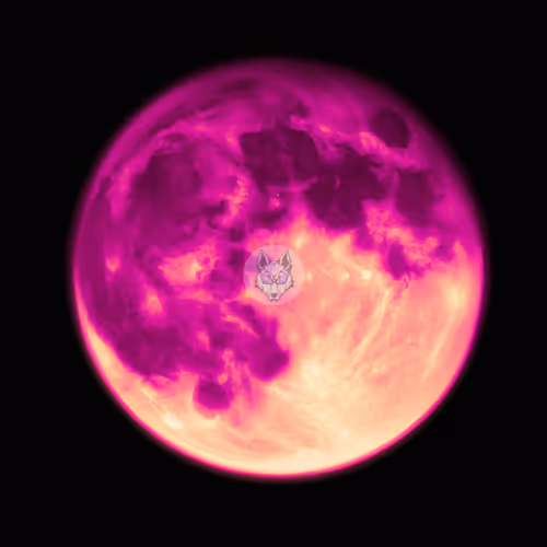 Item #106354215354227112710139797925814598999767026275886643497634913108334154350593 Media