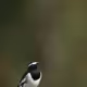 12861280571330674016662217010911449258100918073912398599521939352440637751297