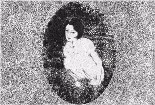 Item #67553364102704910052786438722982539447022718177836165747965600792363768217601 Media