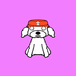 Peachy Poodle #5963