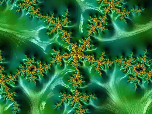 Item #17714128325510544275224710761310912692915290968612174514921029038092392071169 Media