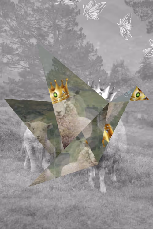 Item #23226543277439076831153332619670994021282941789926697463562794504461263831045 Media