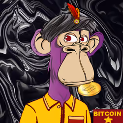 APE MONKEY NFT 180/500