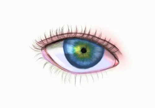 Item #42950694591796666568266939449637019646211598636303907727097118030921151283201 Media