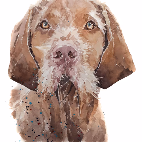 Item #15308155937593783866228062712704217529335676444312394672786838618323879460869 Media